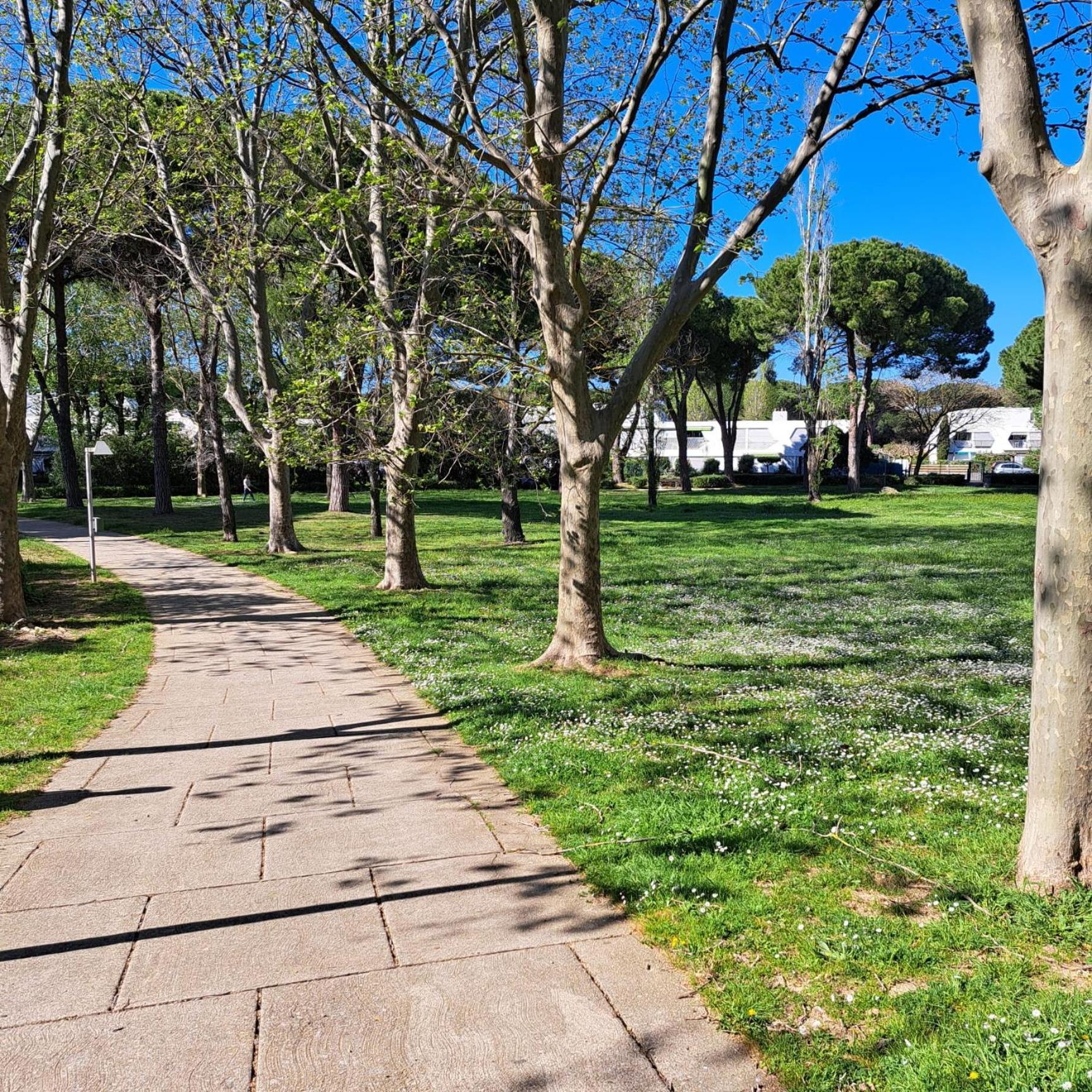T2 West City Parking Clim Wifi 4Pers - Rossiconciergerie - Linge Inclus La Grande Motte Exteriér fotografie